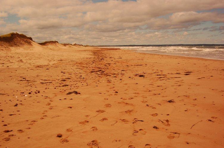 Goodview Cottages By Stanhope Beach Pei For Adults Only Exterior photo